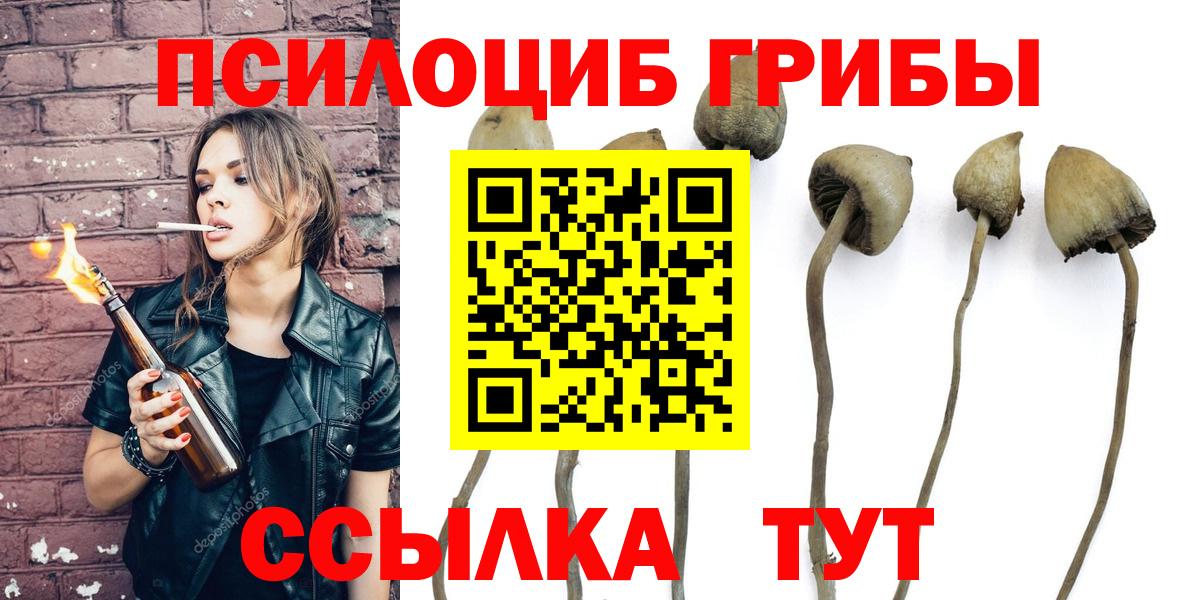 Галлюциногенные грибы Psilocybine cubensis Ханты-Мансийск
